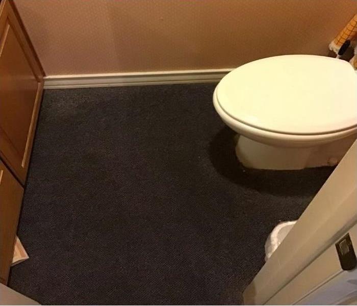 Picture focuses on bathroom floor in front of toilet. The floor is carpet.