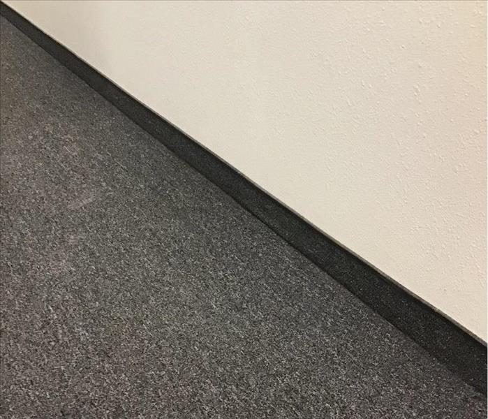 Carpet with wet drywall 