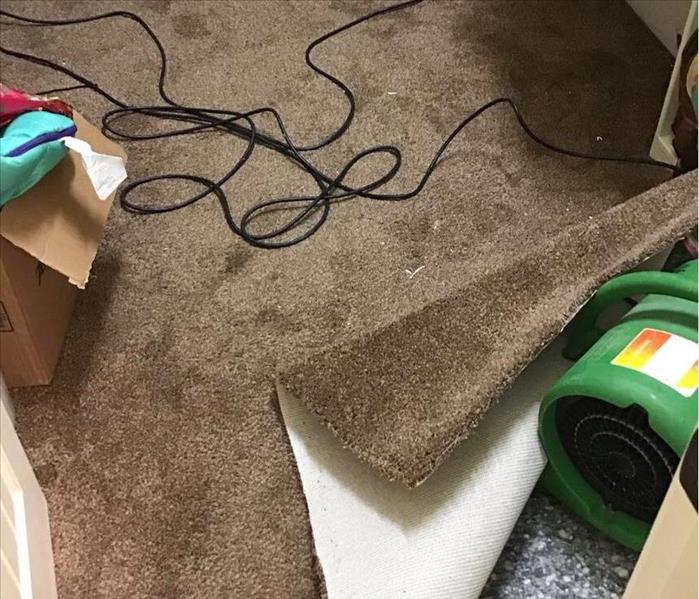 Drying carpet with a snail shaped fan for best overall airflow. 