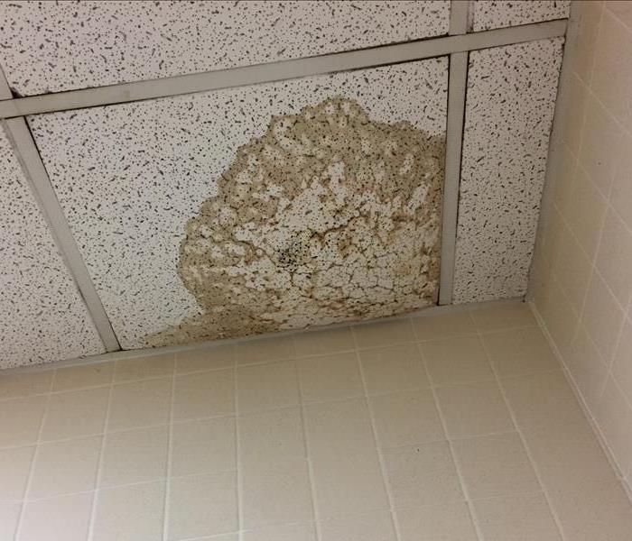 Wet, stained ceiling tiles from water damage